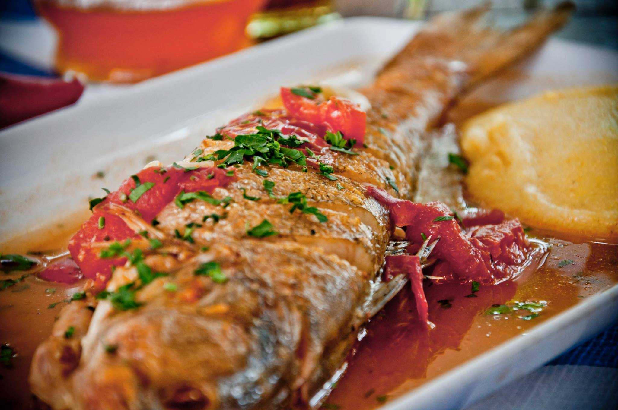 Feluri de baza, Feluri gatite peste