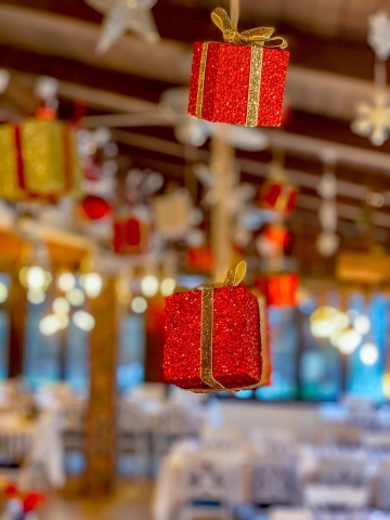 Interior Blue Acqua Mamaia