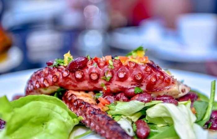 Caracatita grill cu sos tzatziki, mamaliga, mujdei/sos lamaie Caracatita grill cu sos tzatziki, mamaliga, mujdei/sos lamaie