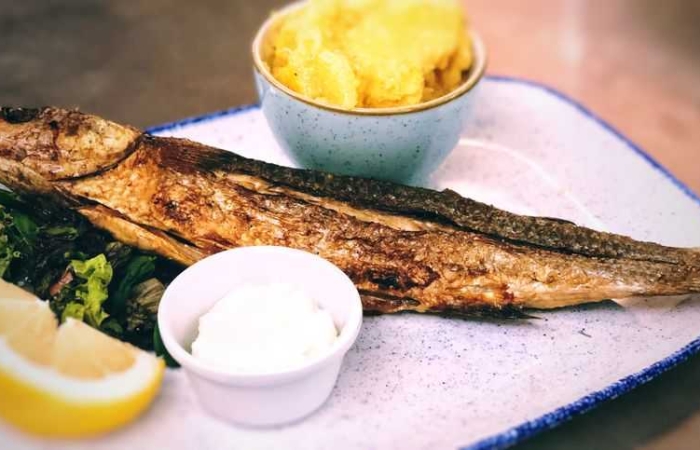 Chefal grill/prajit cu mamaliga si mujdei