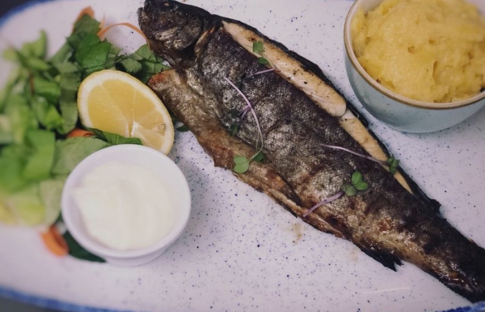 Pastrav grill, mamaliga, mujdei/sos lamaie Pastrav grill, mamaliga, mujdei/sos lamaie
