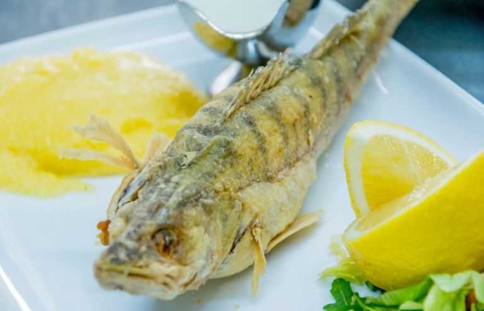 Salau de Dunare (strapazan) la grill cu mamaliguta si mujdei